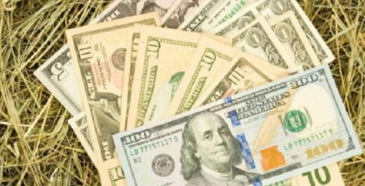 1761114914484073.png d9d3a48169970eeb38c5c0186cc0dd60.png