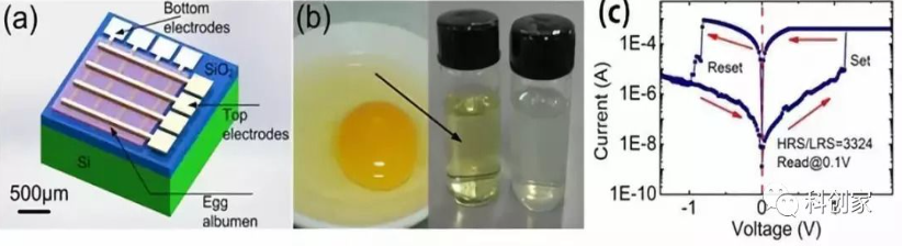 1762162054119594.png b91ee1befe67eb104a66ad1a0a04a431.png