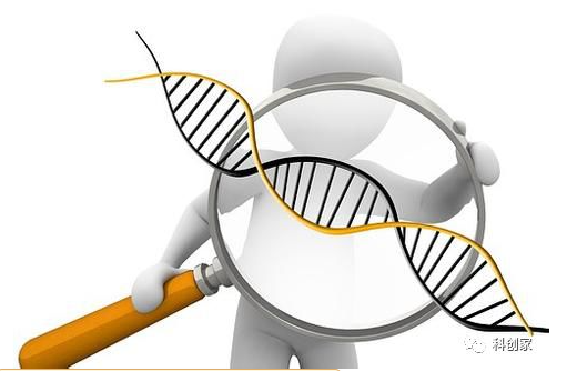 1762163140174845.png 938084c93da6c632034d626a5c621c14.png