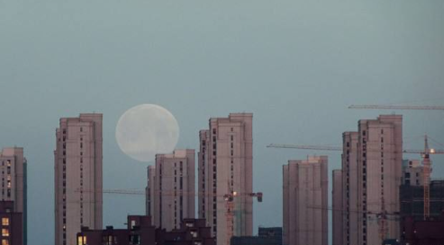 1762316627878033.png d31510535cbe0ce28983eb2a988956ee.png