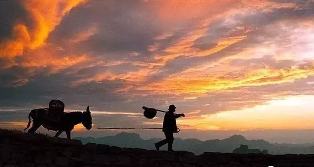 1764571641842443.png 8003e1c9c05bcbda24c18b774c07f9a2.png